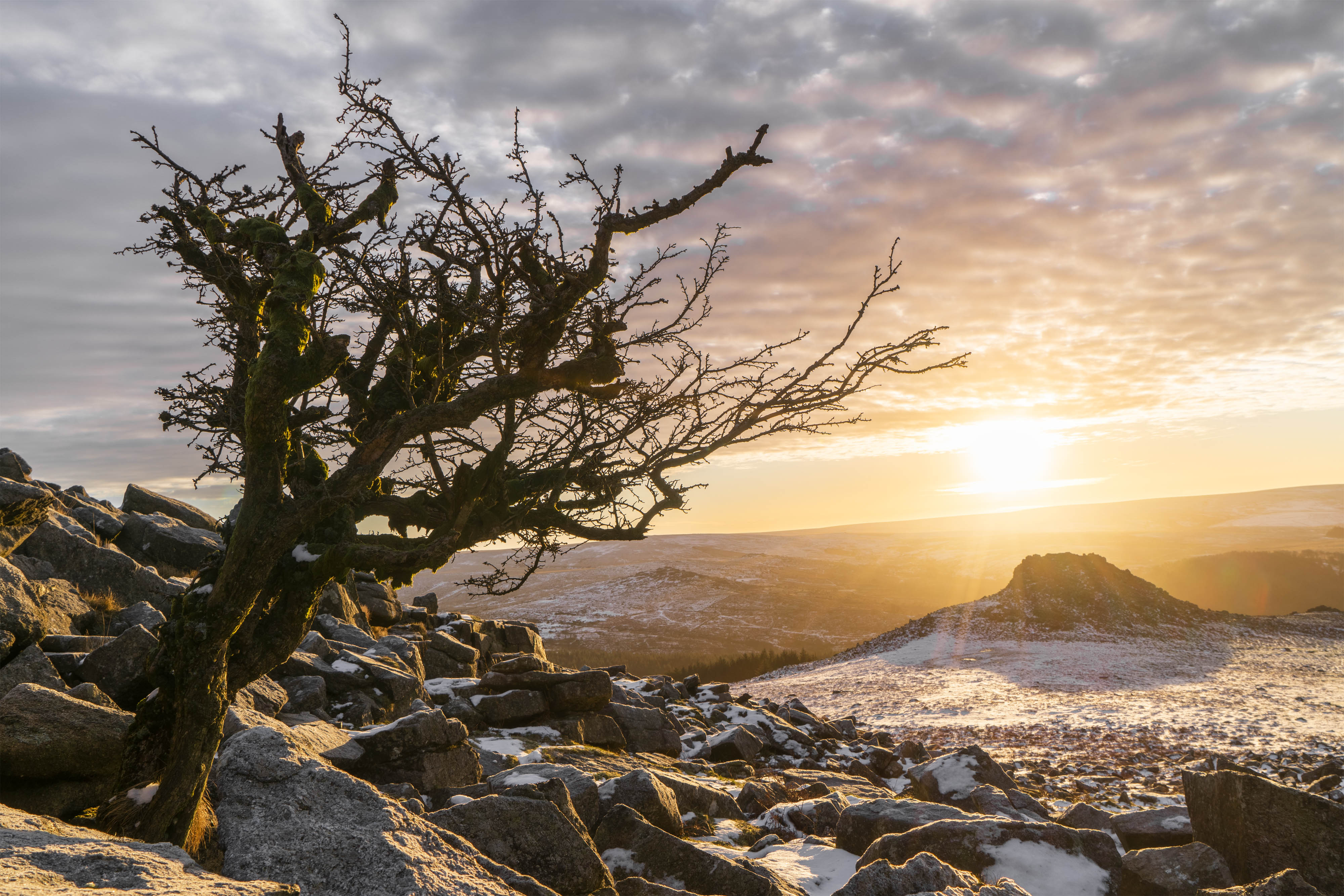 Dartmoor - Wild Landscape